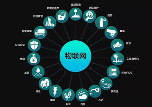 數(shù)字與數(shù)據(jù)經(jīng)濟兩翼齊飛，助推物聯(lián)江西建設中的軟件開發(fā)